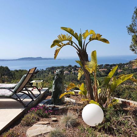 Pretty House With Sea View On The Hy Res Villa Hyeres Ngoại thất bức ảnh