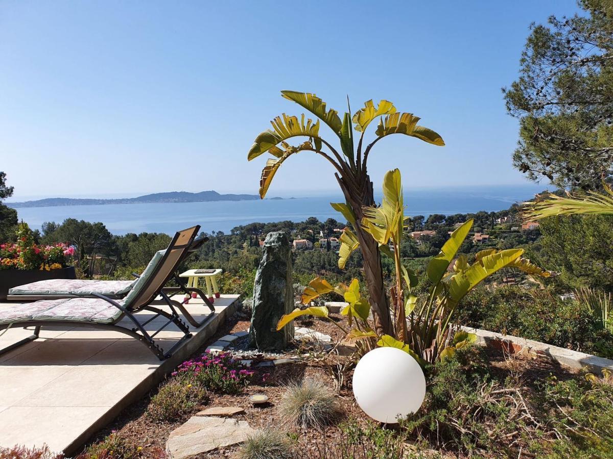 Pretty House With Sea View On The Hy Res Villa Hyeres Ngoại thất bức ảnh